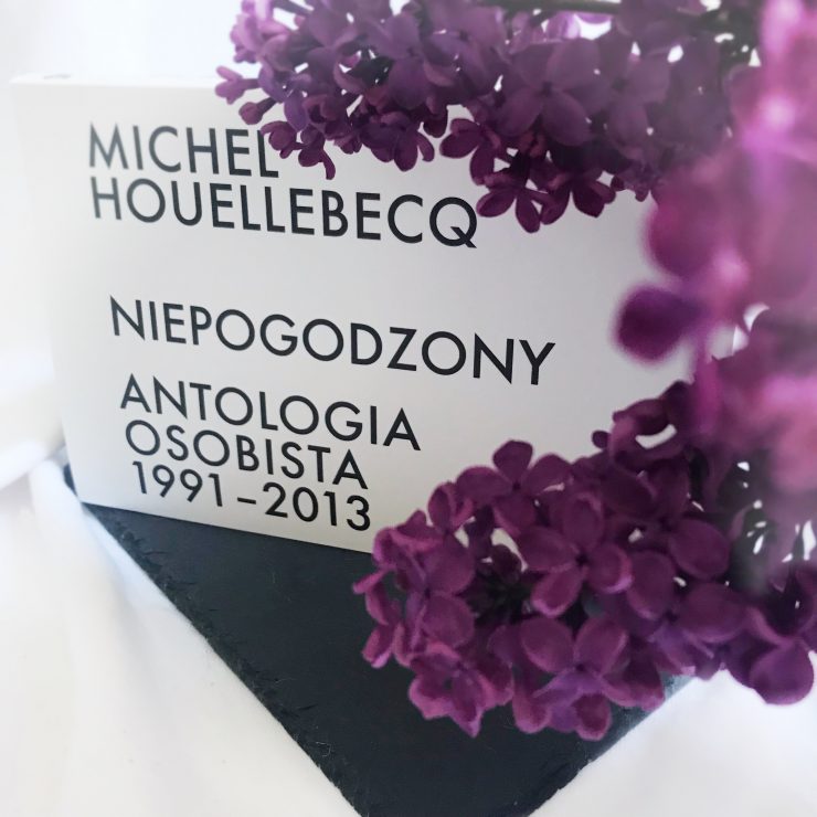 Niepogodzony, Michel Houellebecq, Wydawnictwo WAB, fot. Lady Pasja