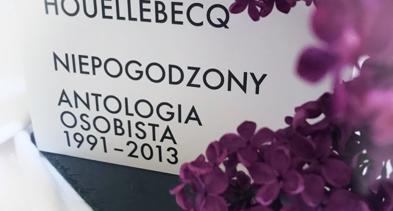 Niepogodzony, Michel Houellebecq, Wydawnictwo WAB, fot. Lady Pasja