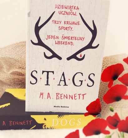 STAGS, Media Rodzina, fot. Lady Pasja