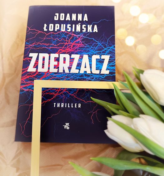 Zderzacz, Joanna Łopusińska, Wydawnictwo WAB, fot. Lady Pasja