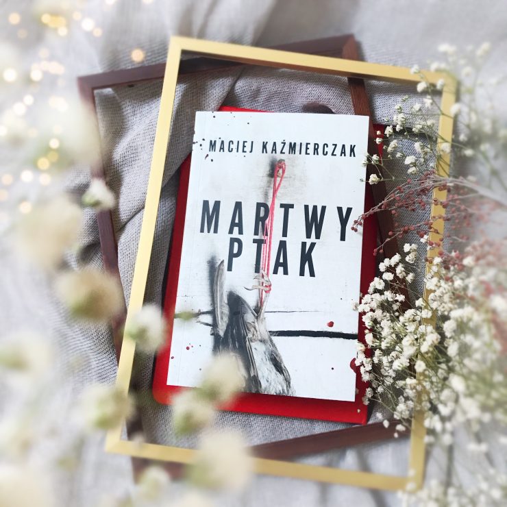 Martwy ptak, Maciej Kaźmierczak, Wydawnictwo Muza, fot. Lady Pasja