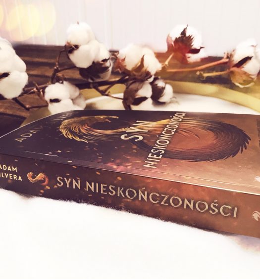 Syn Nieskończoności, Adam Silvera, Wydawnictwo We need YA, fot. Lady Pasja