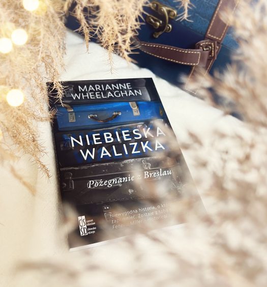 Niebieska walizka, Marianne Wheelaghan, Silesia Progress, fot. Lady Pasja