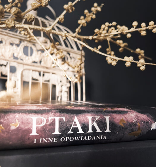 Ptaki i inne opowiadania, Daphne du Maurier, Wydawnictwo Albatros, Seria Butikowa, fot. Lady Pasja